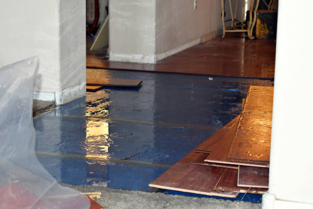Professional Basement Flood Cleanup technician working in Freedom, NH